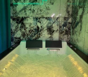 Saintry-sur-Seine Apartment | Studio avec jaccuzzi