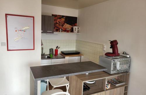 Saint-Etienne Apartment | Studio avec parking gratuit