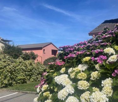 Sisco Apartment | Studio avec piscine