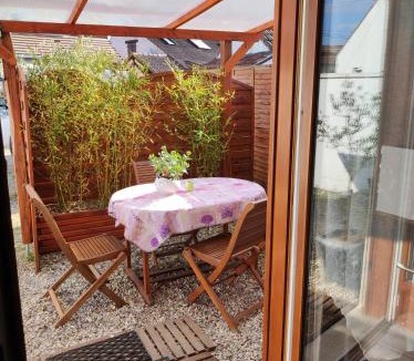 Lamotte-Beuvron House | studio avec terrasse "Le Loup"