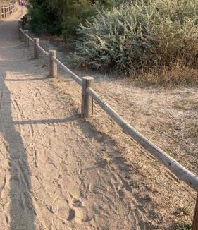 Les Cabanes de Fleury Apartment | Studio avec terrasse à 300m de la plage