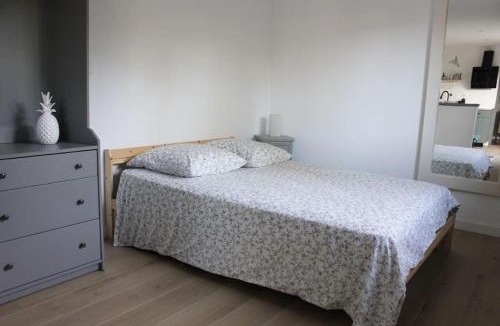 Castelginest Apartment | Studio avec terrasse et parking