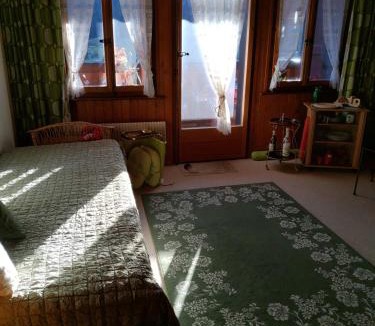 Ormont-Dessus Apartment | Studio avec vue splendide sur les Diablerets