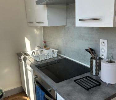 Azay-le-Rideau Apartment | Studio avec vue sur le Château
