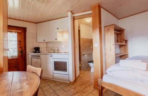 Grimentz Apartment | Studio avec vue sur les montagnes