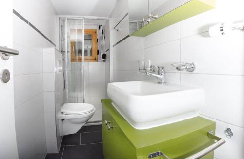 Graechen Apartment | Studio Bergfink Obergeschoss-5 by Interhome