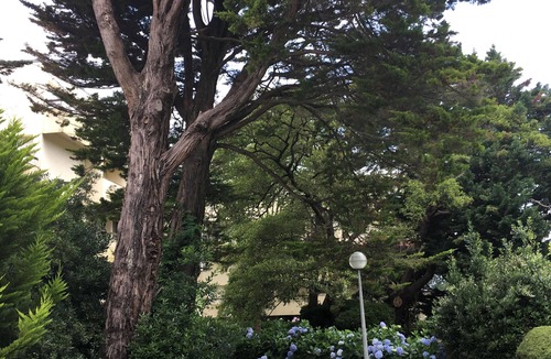 Anglet Apartment | Studio Biarritz, swimming pool, beach, golf, parking