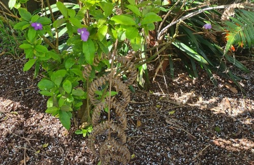 Browns Bay Apartment | Studio Browns Bay - newly refurbished