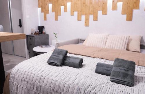 Saint-Gervais-les-Bains Apartment | Studio cabine Au Loup Blanc avec vue Mont Blanc