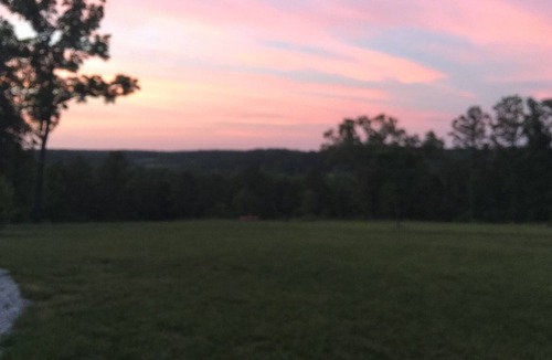 Licking Cabin | Studio cabin w/view, hike to creek w/small waterfall. Contact me, most dates ava
