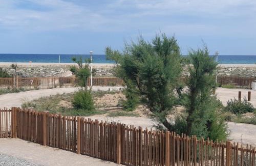 Port Leucate Apartment | Studio cabine à Port Leucate, 4 pers, animaux admis, parking, accès direct à la mer - FR-1-798-19
