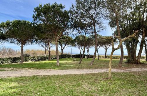 Argeles Plage Apartment | Studio cabine 4 couchages ARGELES SUR MER AR600-005
