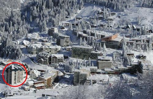 Eaux-Bonnes Apartment | Studio cabine 6 pers à Gourette avec animaux admis - FR-1-859-28