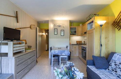 Eaux-Bonnes Apartment | Studio cabine 6 personnes proche pistes, vue montagne - FR-1-400-38