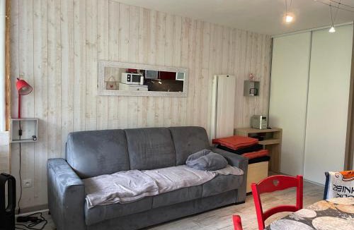 Eaux-Bonnes Apartment | Studio cabine confort 6 pers, animaux admis, Gourette - FR-1-859-34