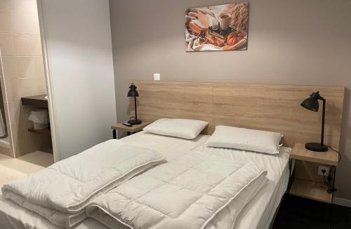 Eaux-Bonnes Apartment | Studio cabine Gourette 58m², côté pistes, 6 pers, animaux admis - FR-1-860-32
