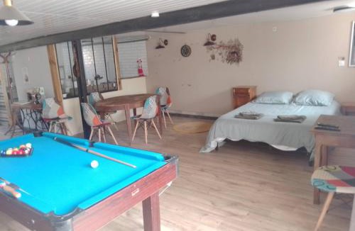 Saint-Priest Apartment | Studio calme avec billard