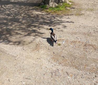 La Ferte-Bernard Apartment | Studio centre ville la Ferté Bernard