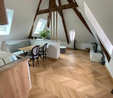 Dol-de-Bretagne Apartment | Studio centre ville