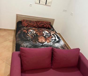 Tarbes Apartment | Studio Centre Ville