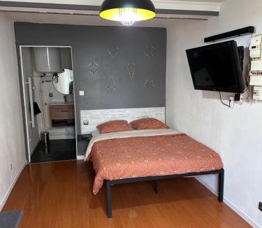 Bar-le-Duc Apartment | Studio centre-ville RDC