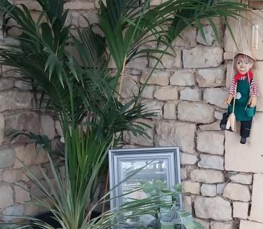 Charleville-Mezieres Apartment | Studio chaleureux en hyper centre