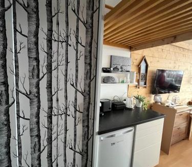 Anzere Apartment | Studio chaleureux, confortable, avec vue sur les Alpes