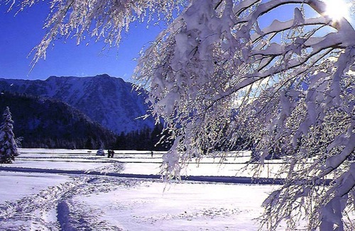 Chamrousse Apartment | Studio Chamrousse, studio flat, 4 persons