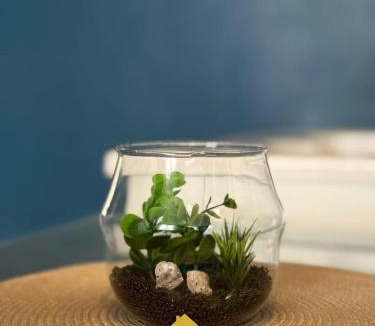 Bar-le-Duc Apartment | Studio Chic de la Rochelle, Proche Commerces