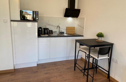 Horbourg-Wihr Apartment | Studio climatisé 30 m2 à 2 min de Colmar