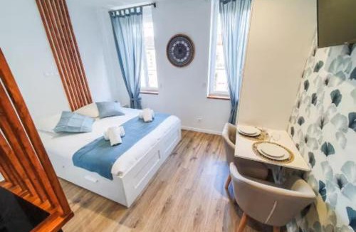 Albi Apartment | Studio climatisé tout confort