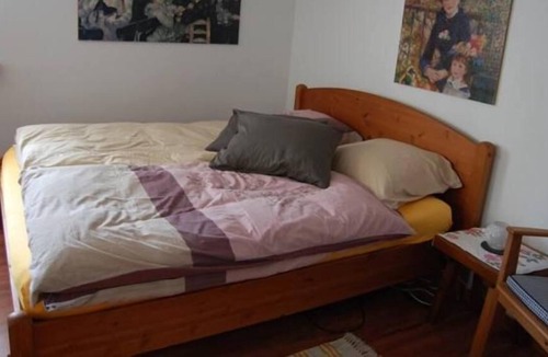 Les Posses-sur-Bex Apartment | Studio close to the ski slopes, the baths, the lake and nature