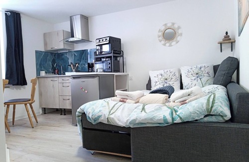 Luxeuil-les-Bains Apartment | STUDIO COLIBRI HISTORICAL CENTER