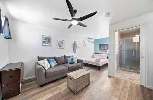 San Jacinto Apartment | Studio condo near downtown and cruise terminal, across from the Seawall