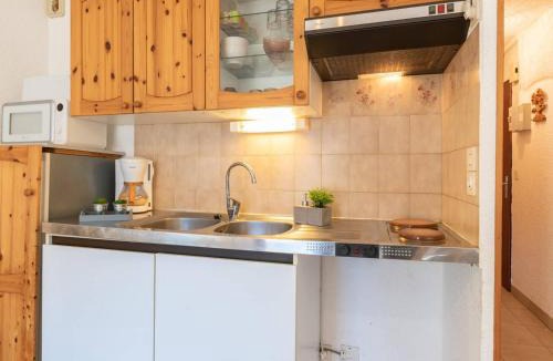 Saint-Lary-Soulan Apartment | Studio confortable pour 4 pers. à Saint-Lary avec parking privé - FR-1-296-205
