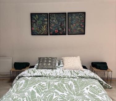 Annonay Apartment | Studio confortable