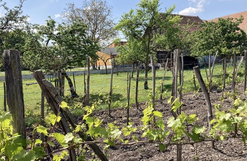 Muttersholtz Apartment | Studio Cosy à la Campagne