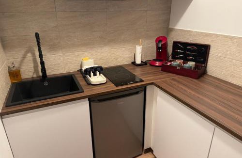 Chasseneuil-du-Poitou Apartment | Studio Cosy