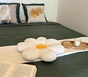 Valence Apartment | Studio cosy - Le cerisier