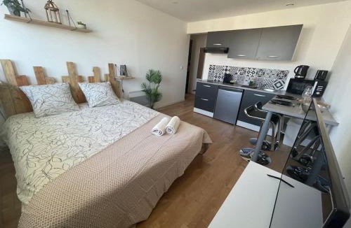 Centre Ville Apartment | Studio cosy rue Alexander Taylor, Wifi, 2 pers
