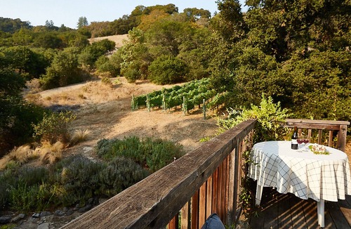 Santa Rosa Cottage | Studio cottage retreat in a vineyard setting