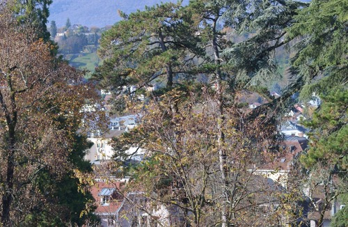 Aix-les-Bains City Center Apartment | Studio CV in beautiful historic residence, mountain view