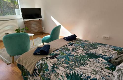 Sarrebourg Apartment | Studio d'Angélique