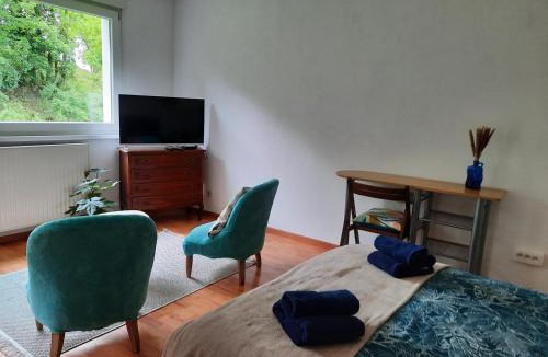 Sarrebourg Apartment | Studio d'Angélique