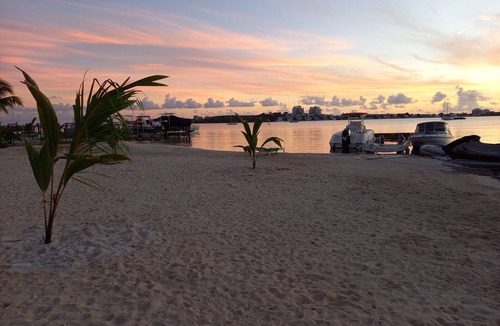 Nettle Bay Apartment | Studio Dans Residence Securisée