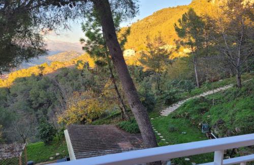 Nice Apartment | Studio dans Villa Don Quijote Nice