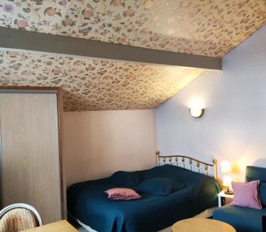 Argeles Gazost House | Studio dans Villa historique "Victoria"