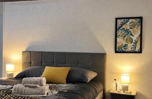 Downtown Angers Apartment | Studio de charme avec cheminée décorative