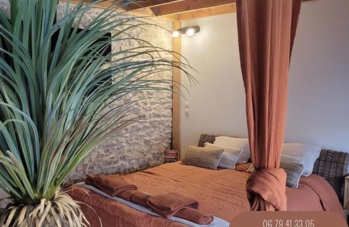 Vergeze Apartment | Studio de charme - Le Strelitzia