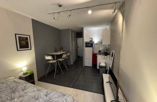 Sud Loire Apartment | Studio de l'Hippodrome